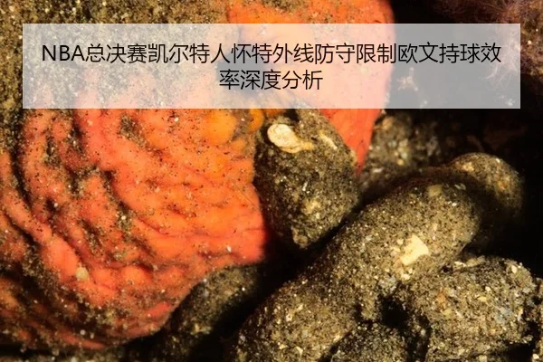 zong-jue-sai-kai-er-te-ren-huai-te-wai-xian-fang-shou-xian-zhi-ou-wen-chi-qiu-xiao-lv-shen-du-fen-xi-2-358.jpg